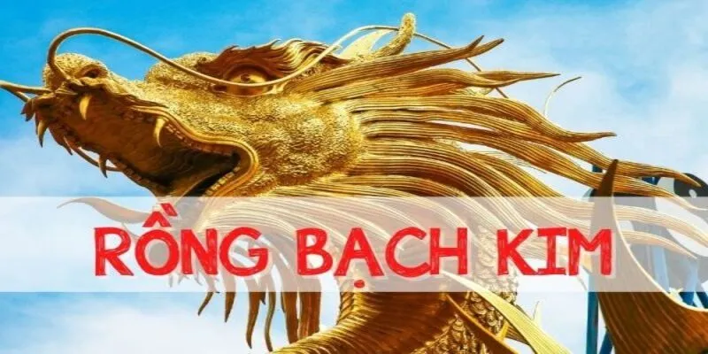 Cách soi cầu rồng bạch kim theo lô gan