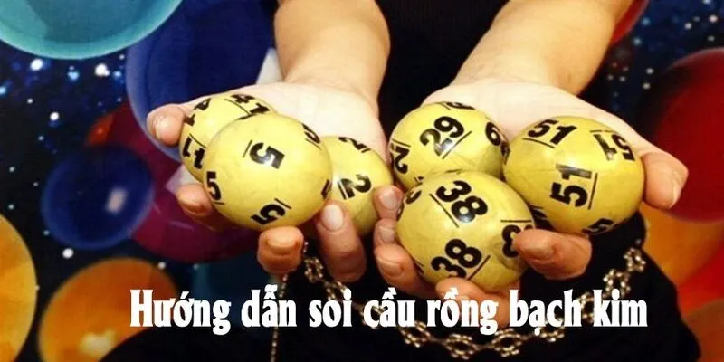 cách soi cầu rồng bạch kim