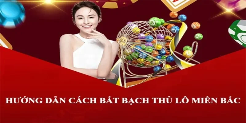 cách bắt bạch thủ lô Miền Bắc
